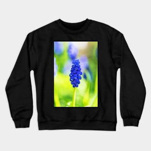 Single blue grape hyacinth Crewneck Sweatshirt